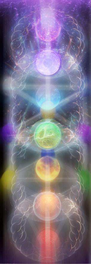 11156273_10203961556536144_7209773414880032499_n