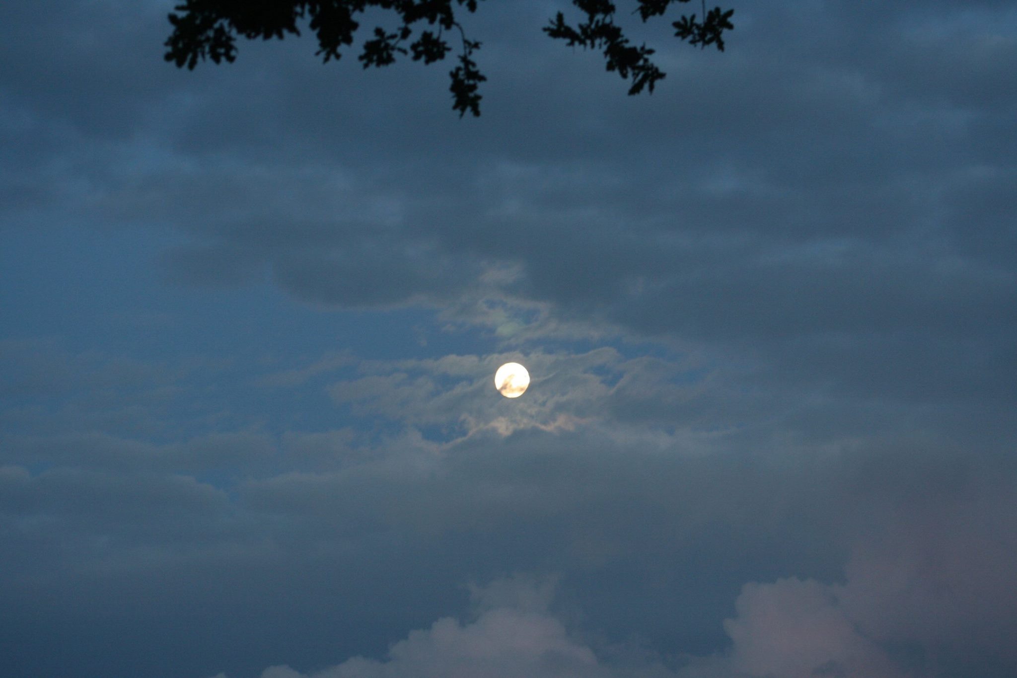 11780024_862417523852751_8875506458591808993_o