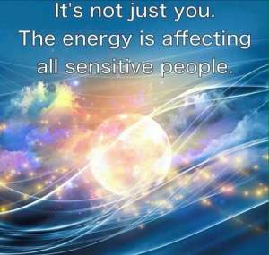 12063375_10208183457124571_3656229220156551462_n