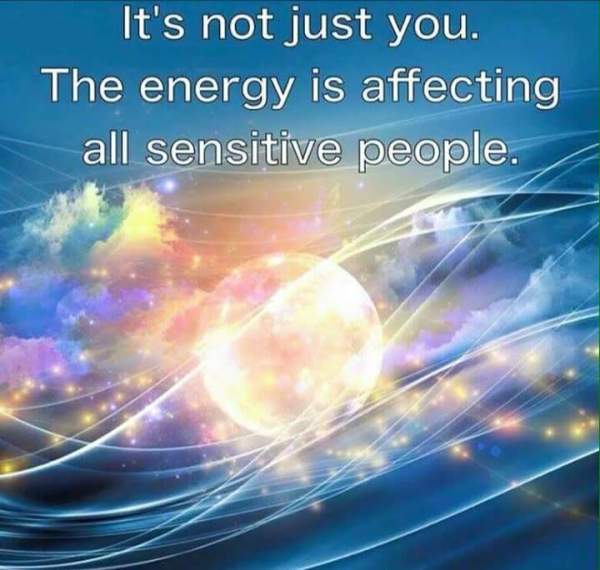 12063375_10208183457124571_3656229220156551462_n