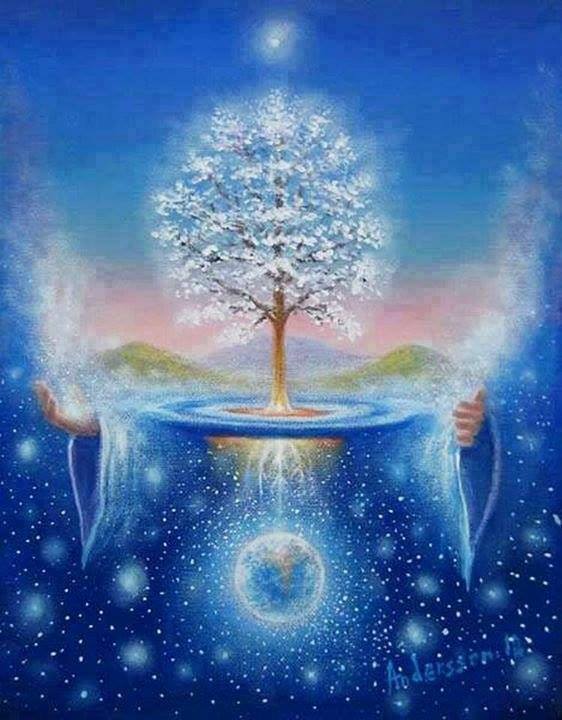 12074514_887999704609555_6260148165862706225_n