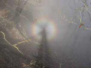 12243346_904689726251330_3419428609412045300_n