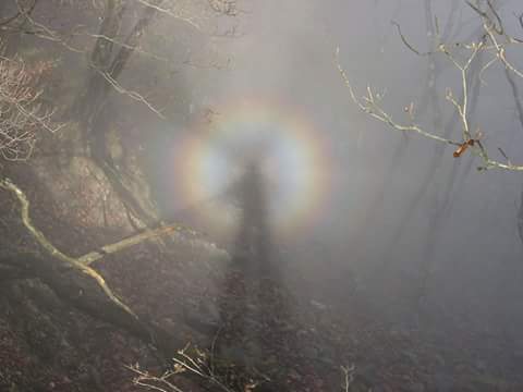 12243346_904689726251330_3419428609412045300_n