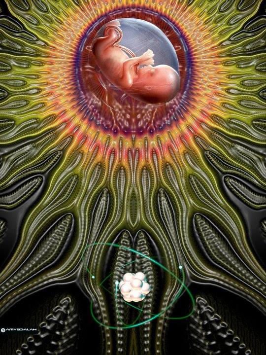 988933_763515383742966_2076287214971532231_n