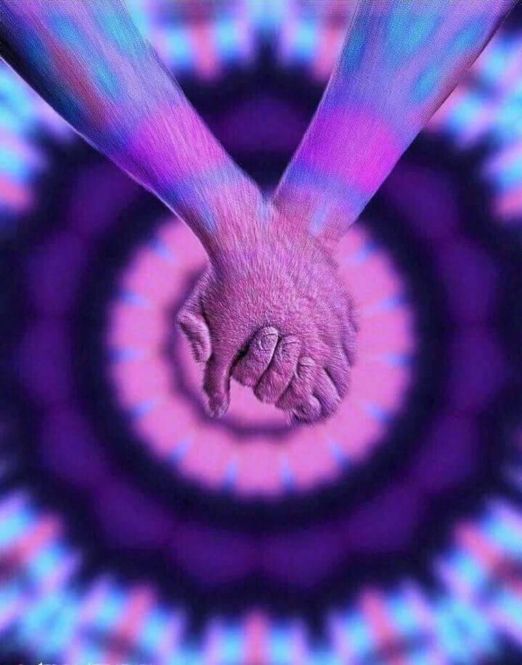 12109321_1084304828254989_6260432716753788258_n