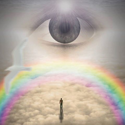 13658920_10153944856859032_162079136530292931_n