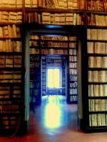 light-in-the-library150