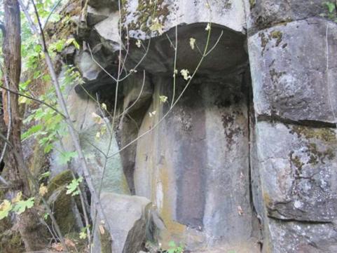 prehistoric-lore-natural