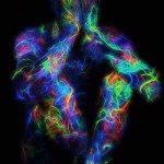 13015428_1149904785041091_6120272085687122599_n