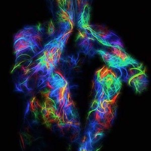 13015428_1149904785041091_6120272085687122599_n