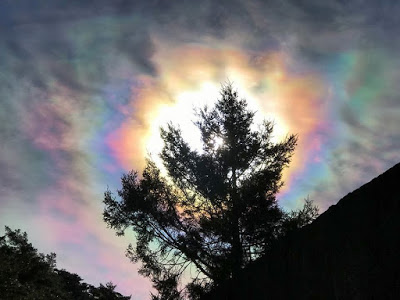 rainbow-halo-in-mt-hehuan-in-taiwan-2017-2-19_3