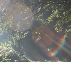 Heart Field of Creation