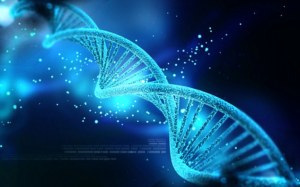 Strands of DNA in the Birthing of all things in the 3rd 5th 6th and 7th Dimensions