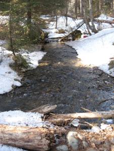 16804422_182875858866196_1076626093415922930_o (1)