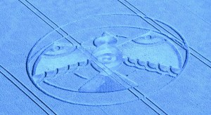 11054412_870115433064649_3967931643320992785_n