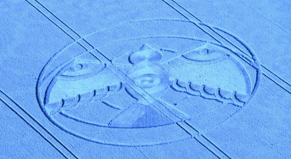 11054412_870115433064649_3967931643320992785_n